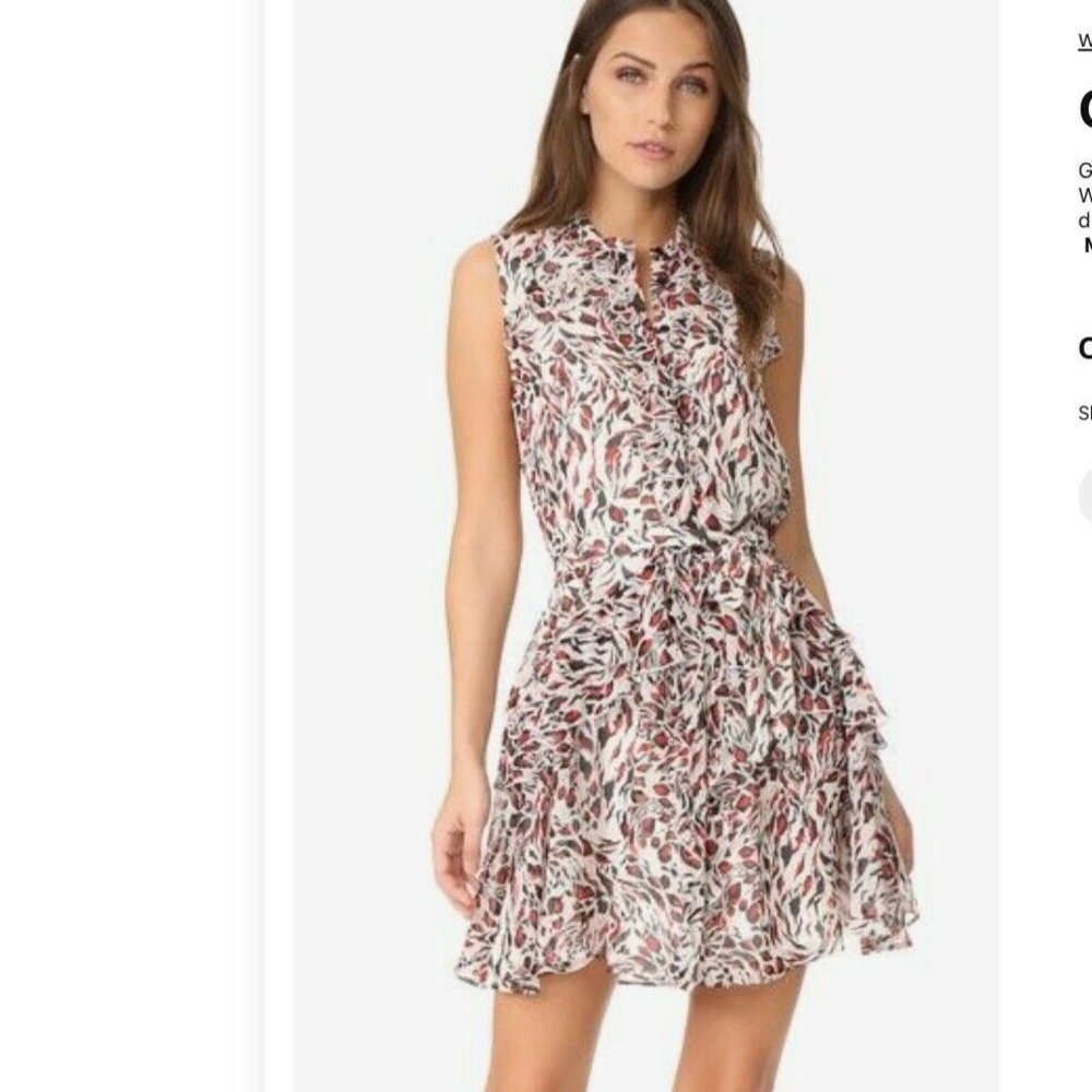 Saloni dress size 2